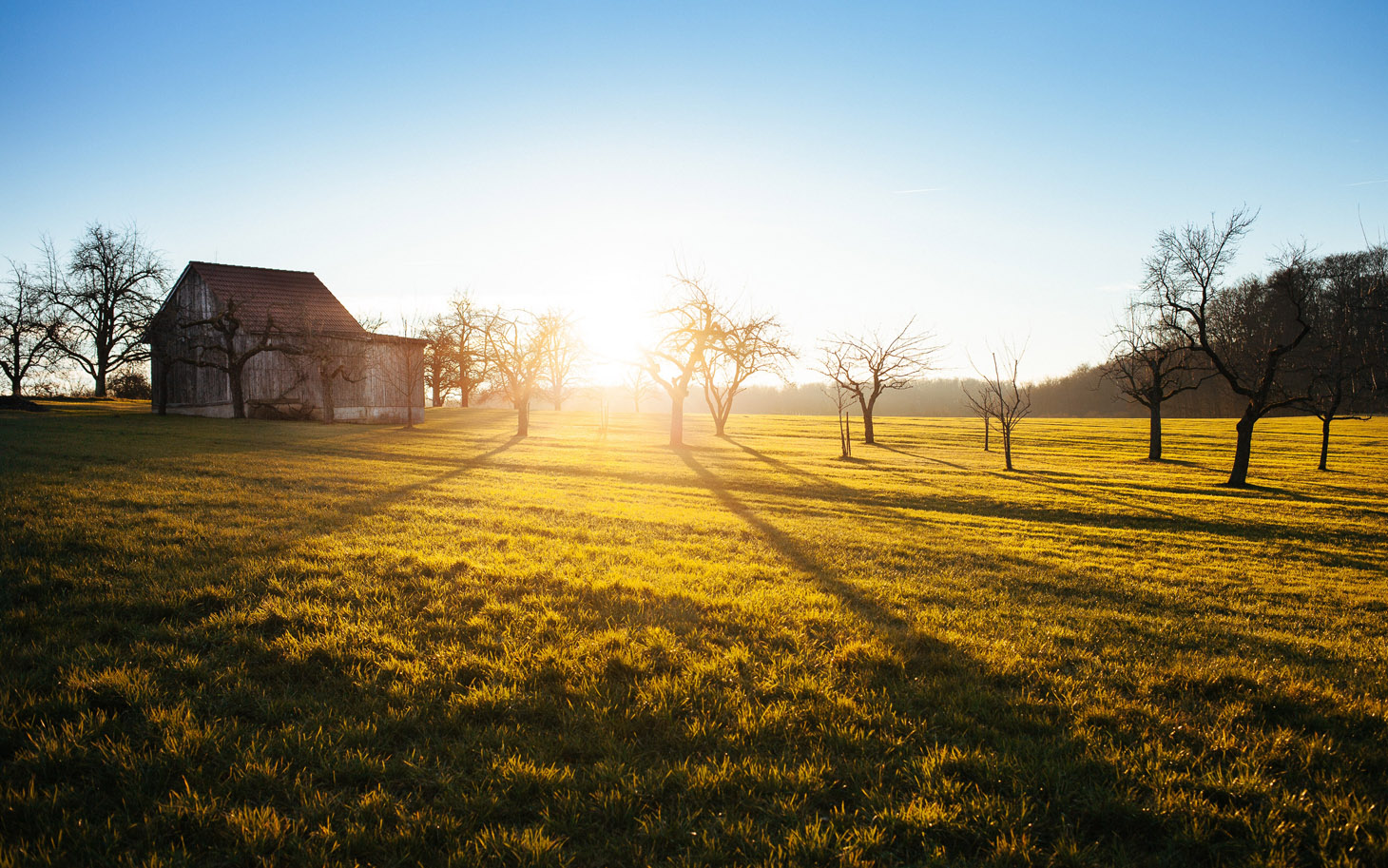 landscape-farm