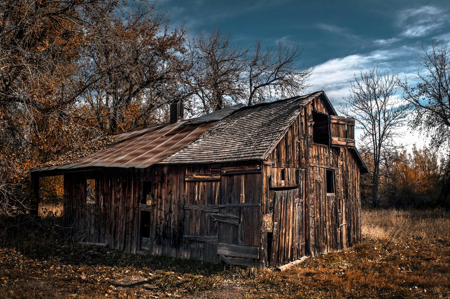 boxelder