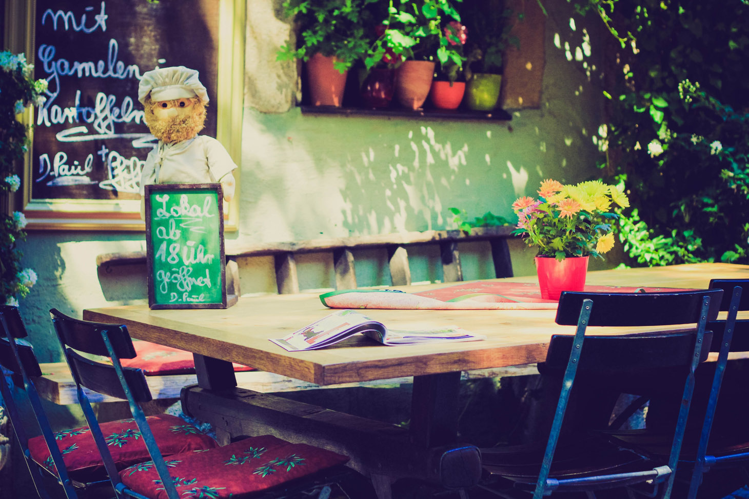 food-restaurant-summer