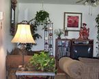 What is my decorating style