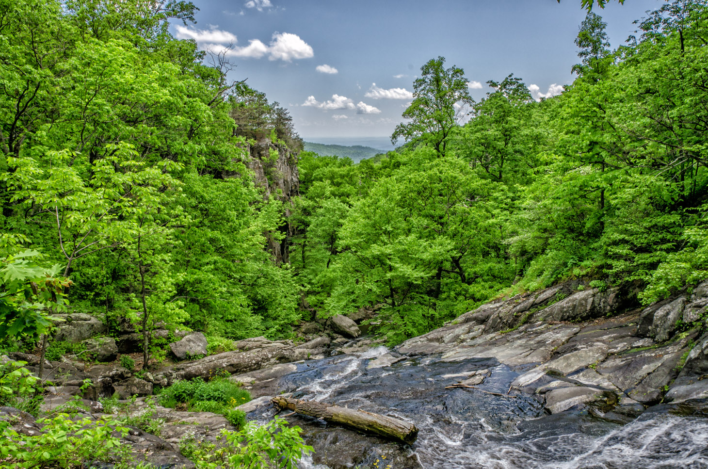 landscape-green-nature-life