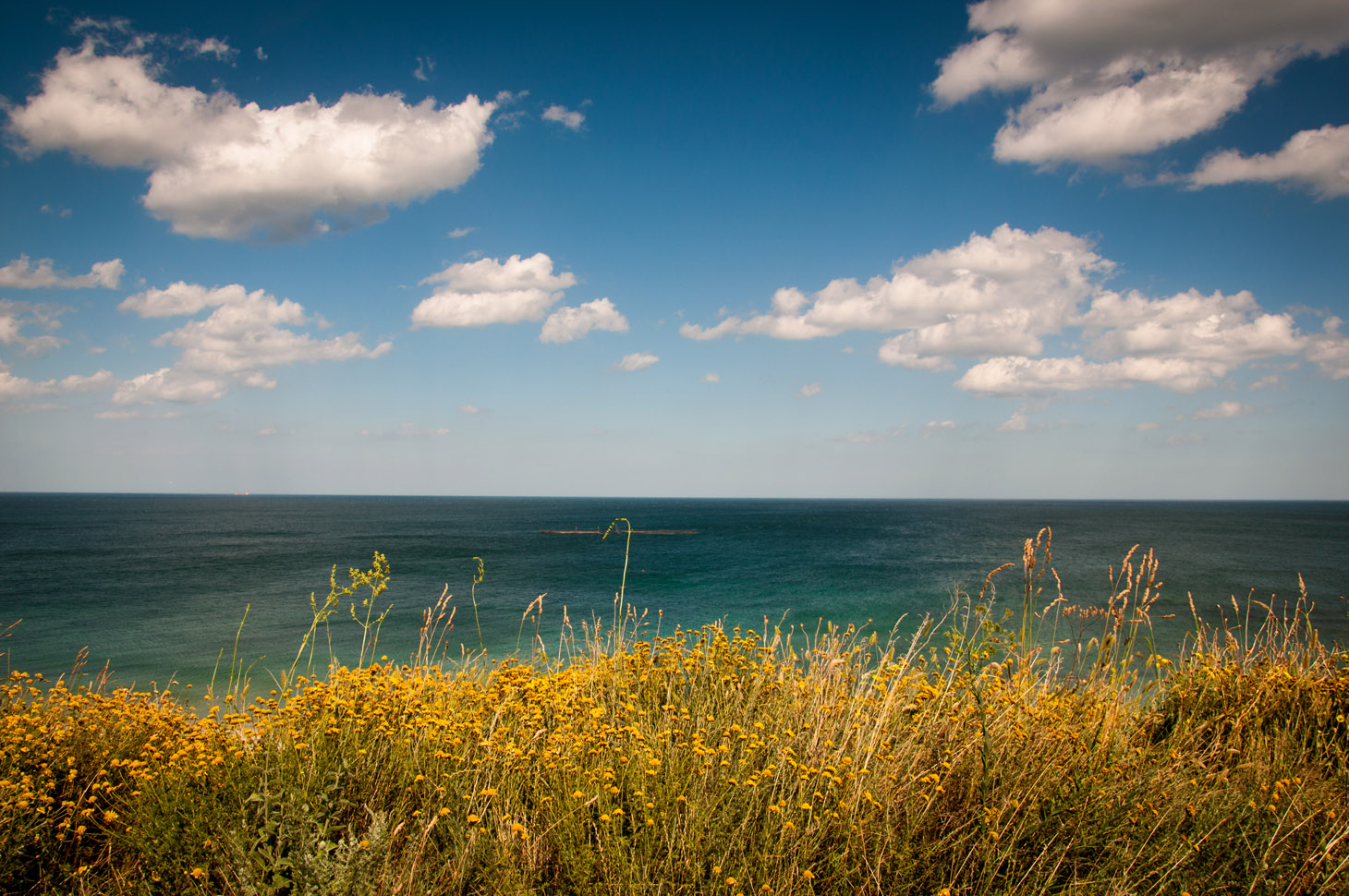 summer-sea